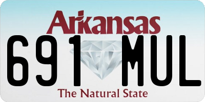 AR license plate 691MUL