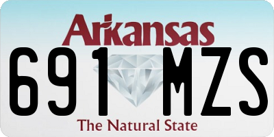 AR license plate 691MZS