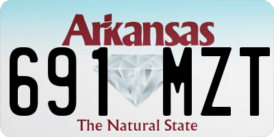 AR license plate 691MZT