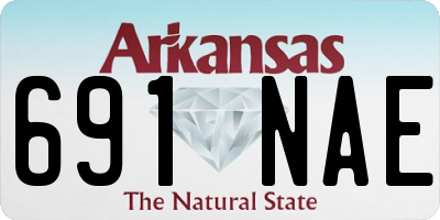 AR license plate 691NAE