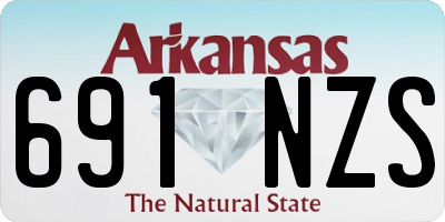 AR license plate 691NZS