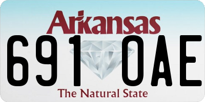 AR license plate 691OAE