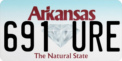 AR license plate 691URE