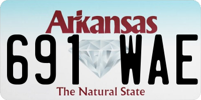 AR license plate 691WAE