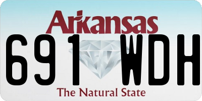 AR license plate 691WDH