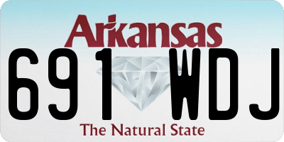 AR license plate 691WDJ