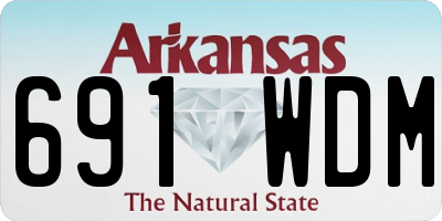 AR license plate 691WDM