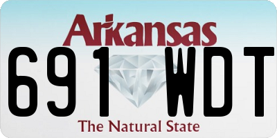AR license plate 691WDT