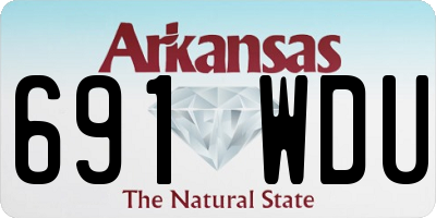 AR license plate 691WDU