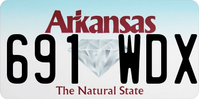 AR license plate 691WDX