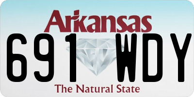 AR license plate 691WDY