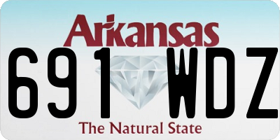 AR license plate 691WDZ