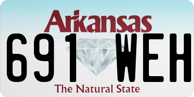 AR license plate 691WEH