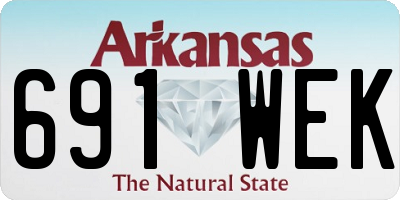 AR license plate 691WEK