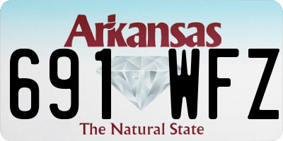 AR license plate 691WFZ