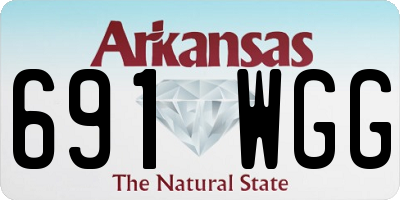 AR license plate 691WGG