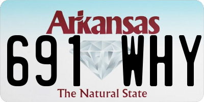 AR license plate 691WHY