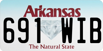AR license plate 691WIB