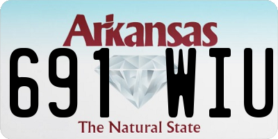 AR license plate 691WIU