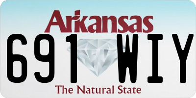 AR license plate 691WIY
