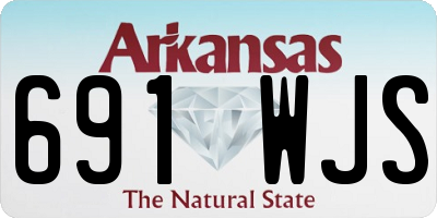 AR license plate 691WJS