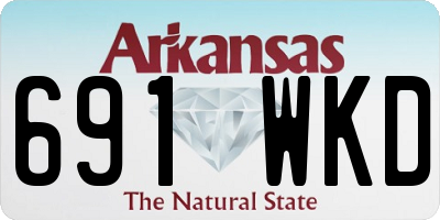 AR license plate 691WKD