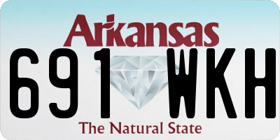 AR license plate 691WKH