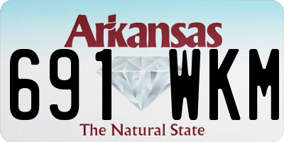 AR license plate 691WKM