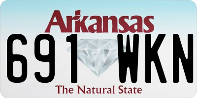 AR license plate 691WKN