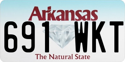 AR license plate 691WKT