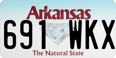 AR license plate 691WKX