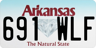 AR license plate 691WLF