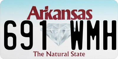 AR license plate 691WMH