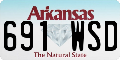 AR license plate 691WSD