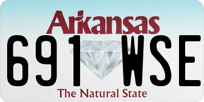 AR license plate 691WSE
