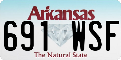 AR license plate 691WSF