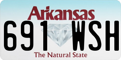 AR license plate 691WSH
