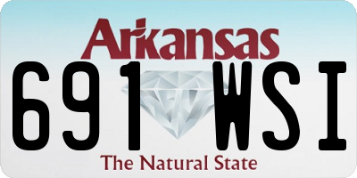AR license plate 691WSI