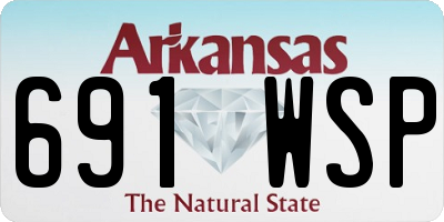 AR license plate 691WSP