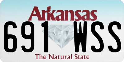 AR license plate 691WSS