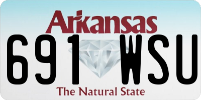 AR license plate 691WSU