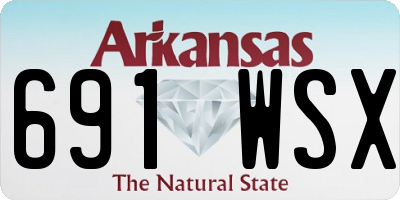 AR license plate 691WSX