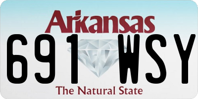 AR license plate 691WSY