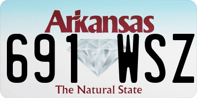 AR license plate 691WSZ