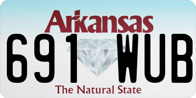 AR license plate 691WUB