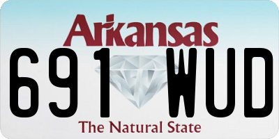 AR license plate 691WUD