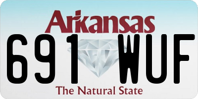 AR license plate 691WUF