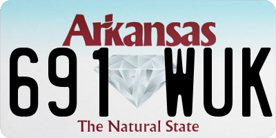 AR license plate 691WUK