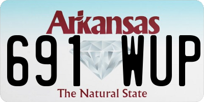 AR license plate 691WUP