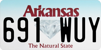 AR license plate 691WUY